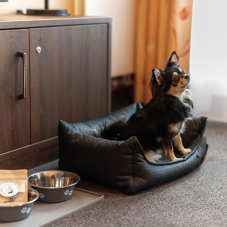 Familienapartment Am Neumarkt Lll Дрезден Екстериор снимка