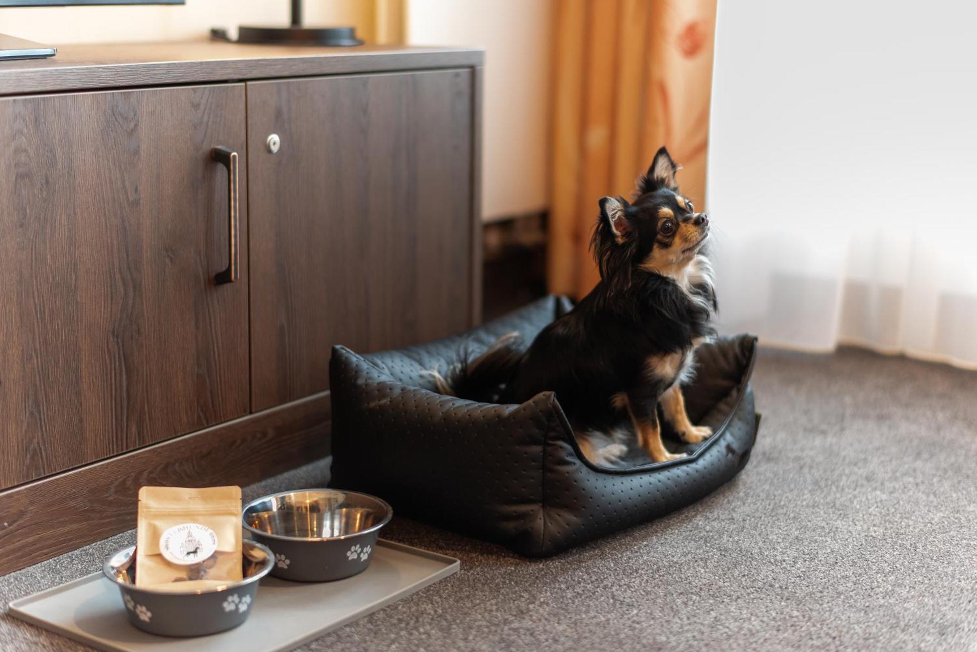 Familienapartment Am Neumarkt Lll Дрезден Екстериор снимка